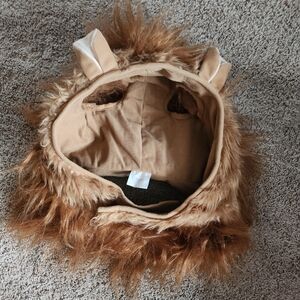 Lion mane (dog costume)